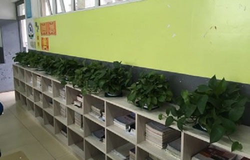 四川省什邡市職業(yè)中專學(xué)校圖片