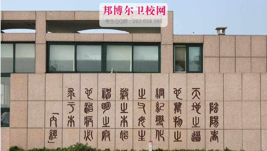 山東中醫(yī)藥高等?？茖W校