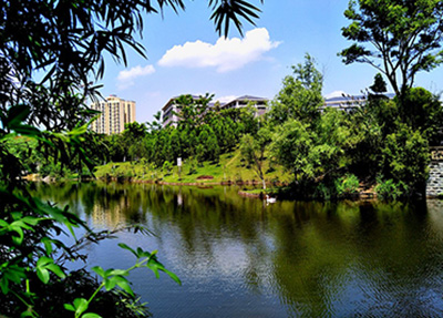學(xué)校景色