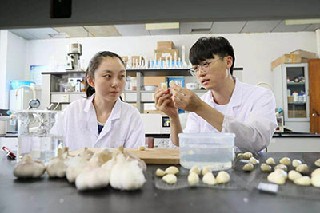 ?？浦形麽t(yī)臨床醫(yī)學就業(yè)分析