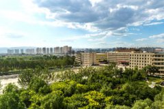 成都中醫(yī)藥大學附屬醫(yī)院針灸學校2024年招生分數(shù)線