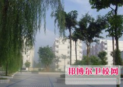 四川2024年衛(wèi)校大專錄取分?jǐn)?shù)線
