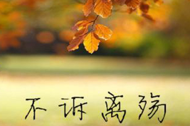 綿陽市陽光職業(yè)技術學校好不好