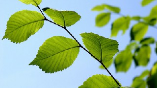 到成都建筑學(xué)校學(xué)習(xí)建筑專業(yè)怎么樣?