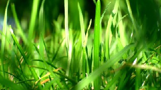 成都建筑工程學校五年一貫制專業(yè)有哪些好處?