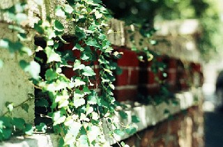 成都市鐵路學(xué)校哪家好？