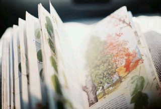 2020年成都建筑學(xué)校招生計(jì)劃