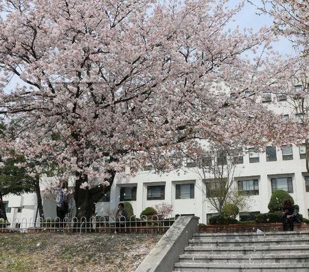 成都建筑工程學校建筑施工專業(yè)怎么樣?有沒有發(fā)