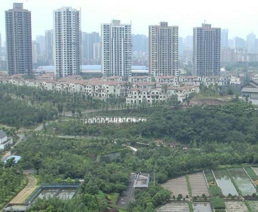 司法會(huì)計(jì)專業(yè)屬于法律類嗎